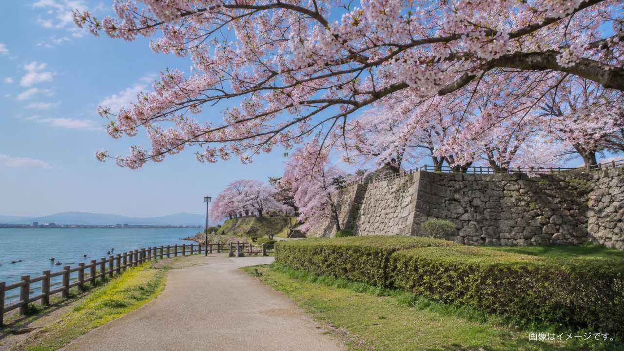 春の湊山公園と米子城跡をイメージした実写風写真