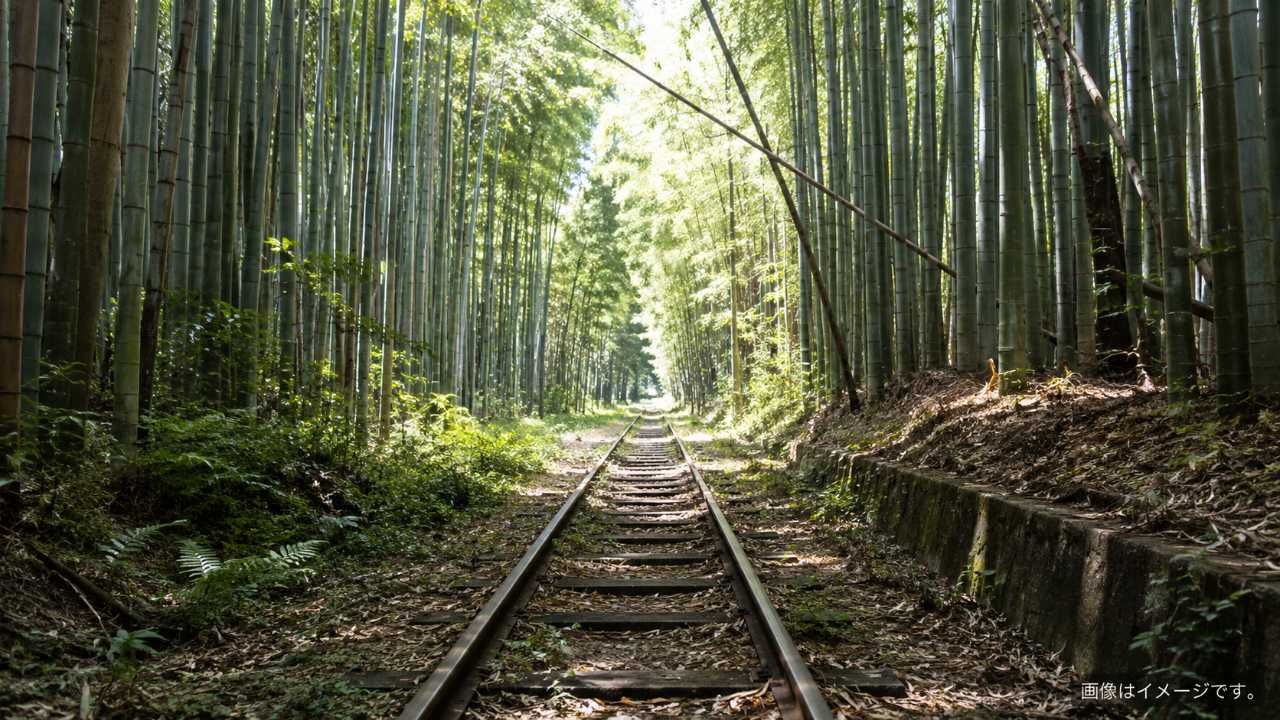鳥取県倉吉市の倉吉線 廃線跡をイメージしたブログ用アイキャッチ。竹林の中に古い線路がまっすぐ続き、木漏れ日が差し込む幻想的な実写風写真
