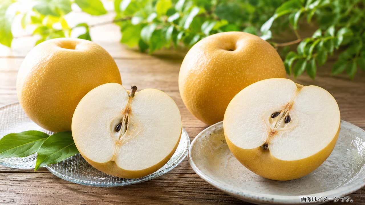 鳥取県産の梨をテーマに、秋甘泉と新甘泉の2種類の梨