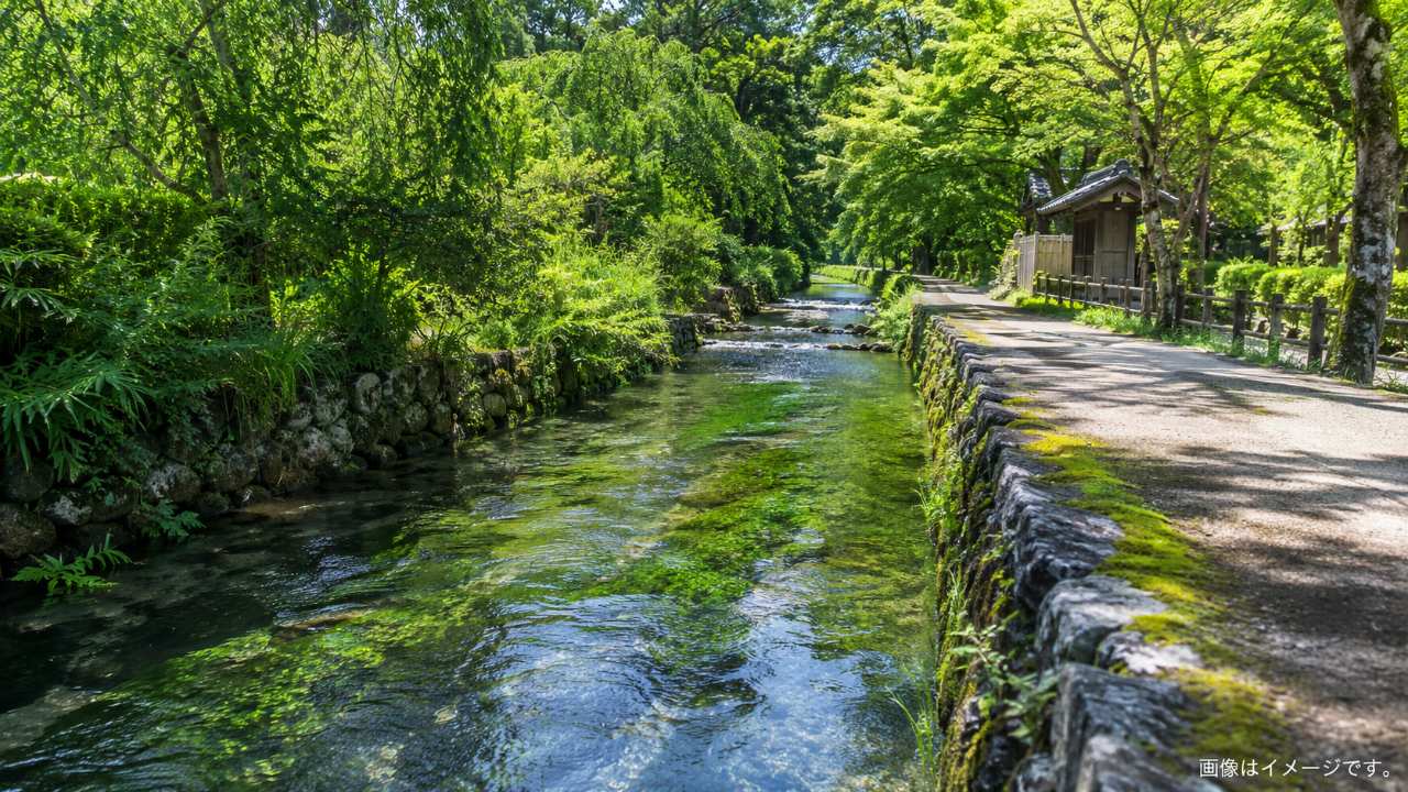 透明な湧水が石の水路を流れる米子の里山風景