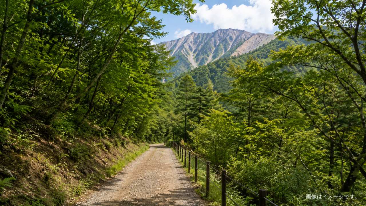 豪円山のろし台へ向かう大山寺エリアの散策路を描いた実写風の観光写真