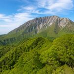 鍵掛峠の展望台から見える大山南壁と新緑のブナ林
