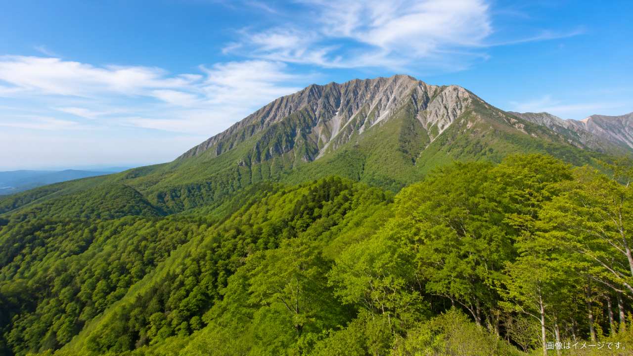 鍵掛峠の展望台から見える大山南壁と新緑のブナ林