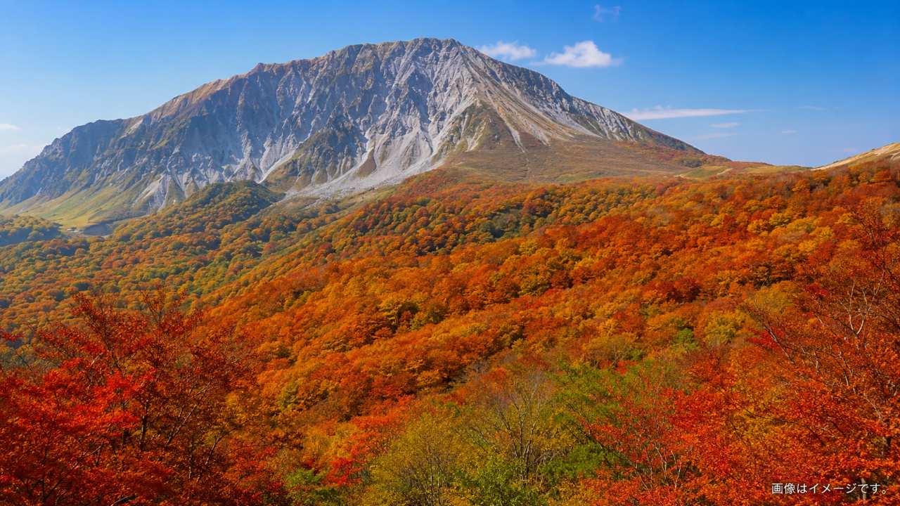 鳥取県奥大山の鍵掛峠から望む大山南壁と広大なブナ林、秋の紅葉が赤や黄色に染まる絶景
