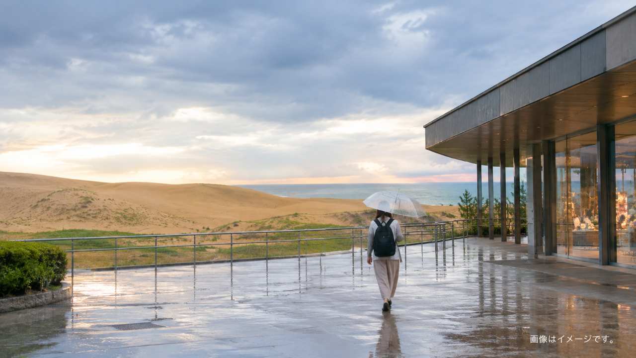 雨の日に砂の美術館など鳥取の屋内観光スポットを巡る旅行者